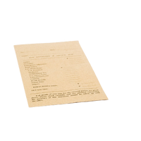 Pay Envelope (Box of 500)