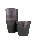 
              Poinsettia Vase (Pack of 12)
            