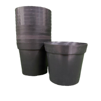 Poinsettia Vase (Pack of 12)