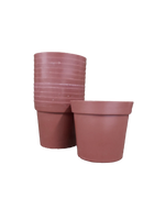 
              Poinsettia Vase (Pack of 12)
            