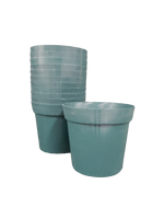 
              Poinsettia Vase (Pack of 12)
            