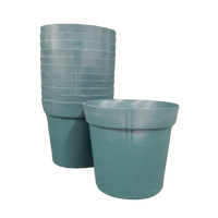 Poinsettia Vase (Pack of 12)