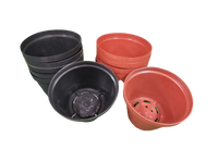 
              Plastic Pot (Pack of 12)
            