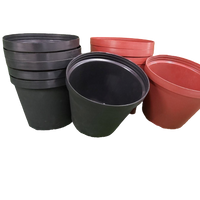 Plastic Pot (Pack of 12)