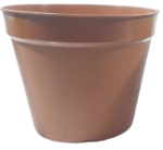 
              Plastic Pot (Minimum of 2 Pieces)
            