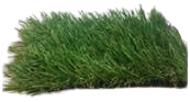 
              Turf Grass (1x2 Meters)
            