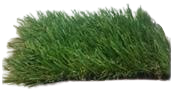 Turf Grass (1x2 Meters)