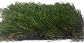 Turf Grass (1x2 Meters)