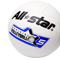 Volleyball Allstar Ball