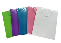 
              Shiny Crocodile Skin Texture Paper Bag (Pack of 12)
            