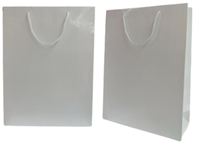 
              Shiny Crocodile Skin Texture Paper Bag (Pack of 12)
            