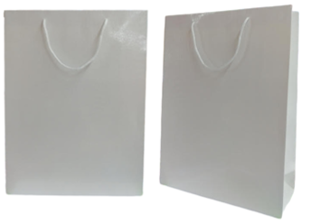 Shiny Crocodile Skin Texture Paper Bag (Pack of 12)