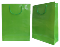 
              Shiny Crocodile Skin Texture Paper Bag (Pack of 12)
            