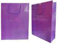 
              Shiny Crocodile Skin Texture Paper Bag (Pack of 12)
            