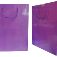 Shiny Crocodile Skin Texture Paper Bag (Pack of 12)