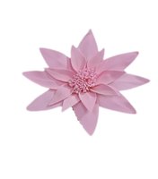 
              Eva Rose Flower (Star Style)
            