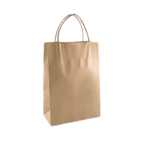 Food Bag with Handle (Pack of 100)