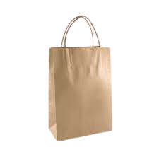 Food Bag with Handle (Pack of 100)