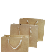 Kraft Paper Bag (Pack of 12)
