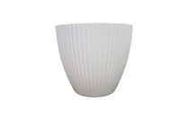 
              Plastic Vase
            