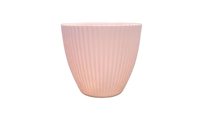 
              Plastic Vase
            