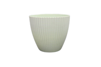 
              Plastic Vase
            