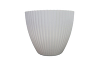 
              Plastic Vase
            