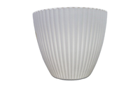 
              Plastic Vase
            